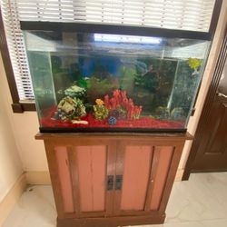 Fish Tank Black 30x13