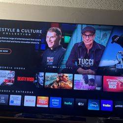 Vizio 65 Inch Tv