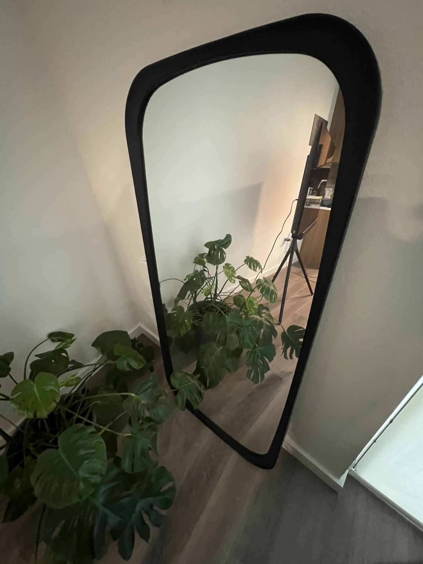 Modern 60" Black Frame Mirror — Clean, Designer Look