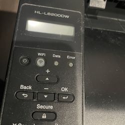 Brother dual tray printer