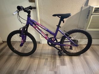 Nishiki Bike