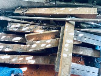 Scrap lumber-20 for all