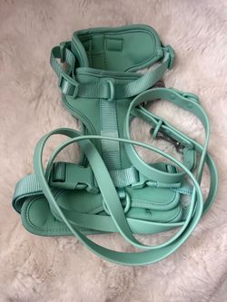 Wild One Green Padded Dog Harness with Leash