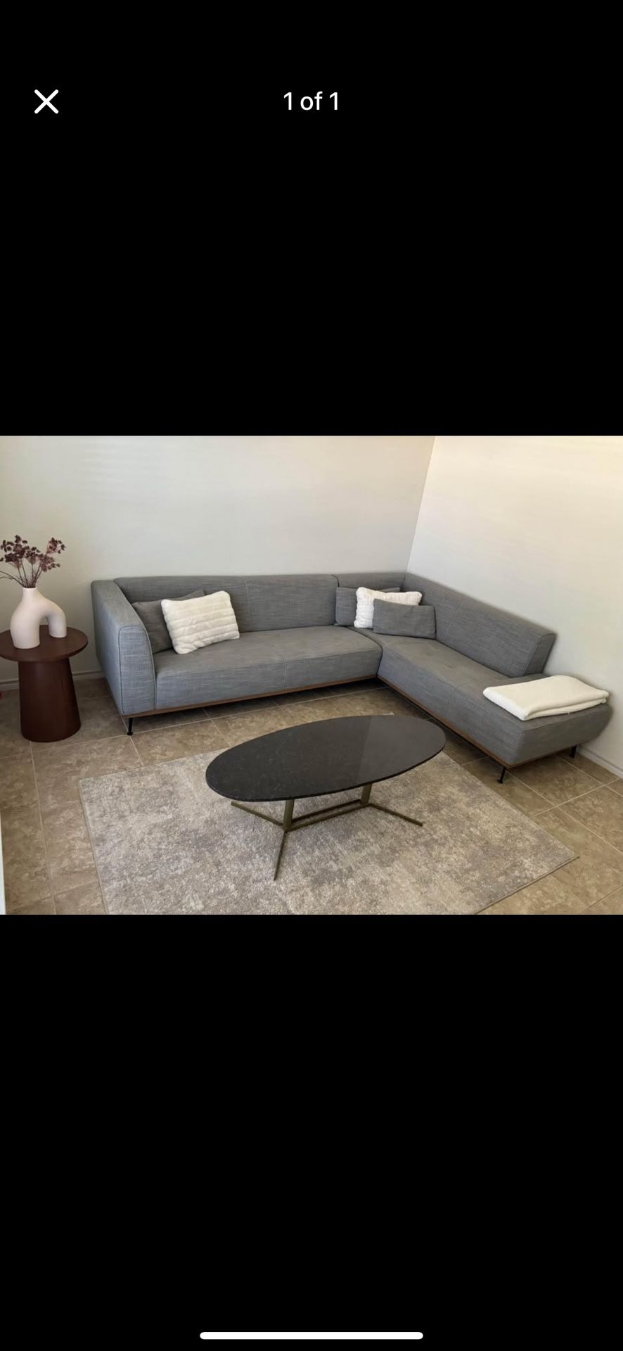 Couch ,table and rug from Havertys