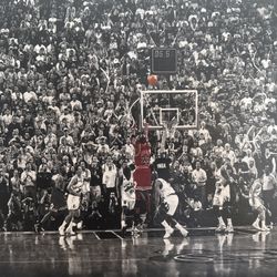 Michael Jordan NBA Finals Canvas