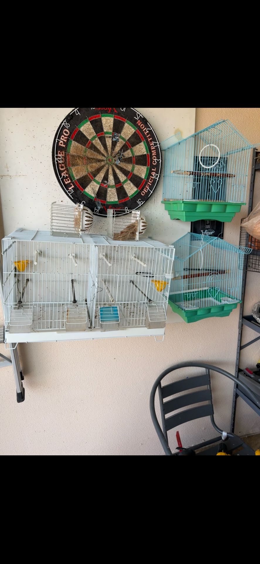 Bird Cages