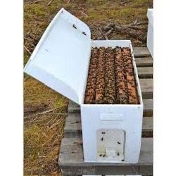 Bee Nucs
