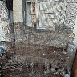 Cages