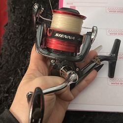 Shimano Sienna 4000  Fishing Reel