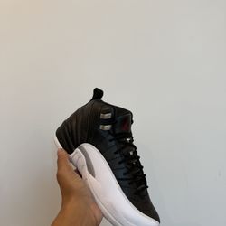 Used Jordan 12 playoffs 