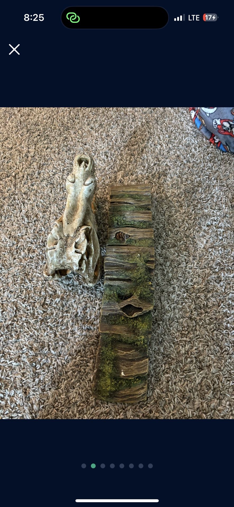 Reptile Accessory
