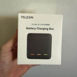 Go Pro Battery Charger