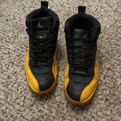 Jordan 12