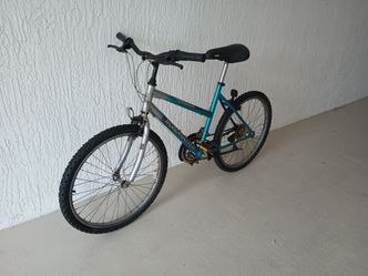 Roadmaster Mountain Bike 24"