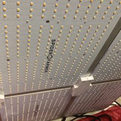 LED Grow Light 