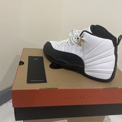 Jordan Retro 12 TAXI