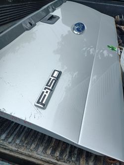 Ford tailgate should fit 04-08 Ford truck