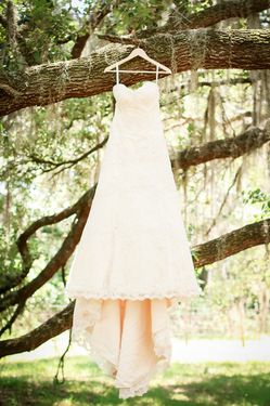 Gorgeous Wedding Dress