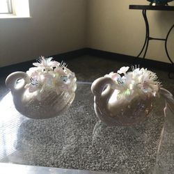 Two pretty little Swan’s 