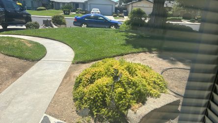 2006 Chevy implala SS 