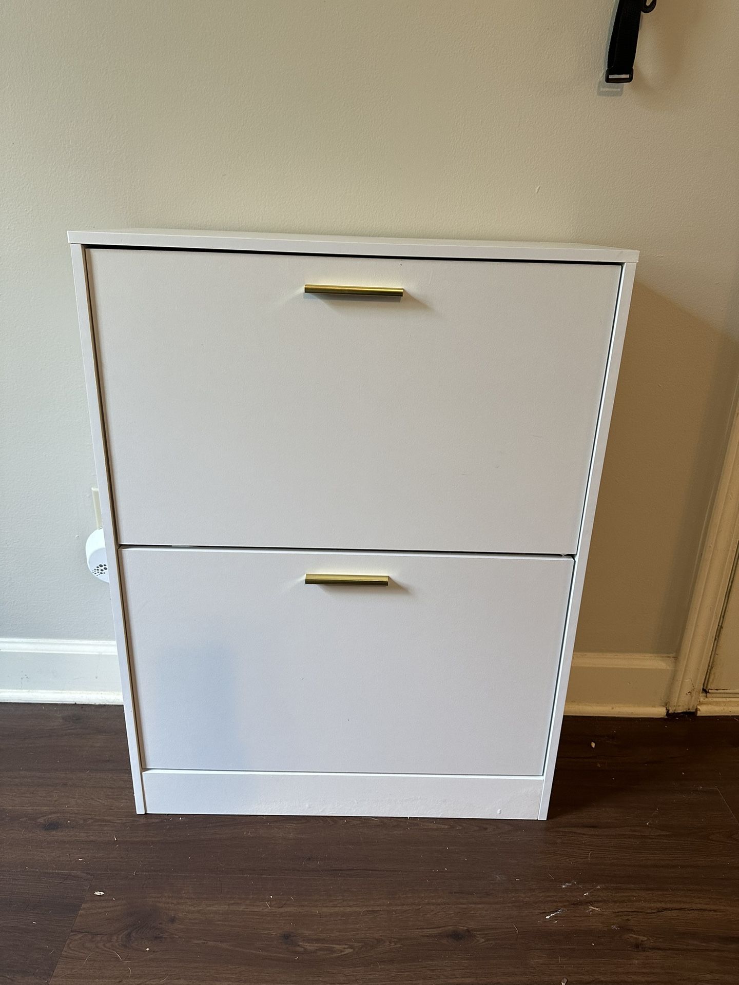 Free Shoe Shelf