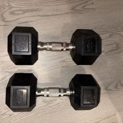 25 LB Dumbbell X2 