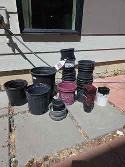 Free Nursery Pots