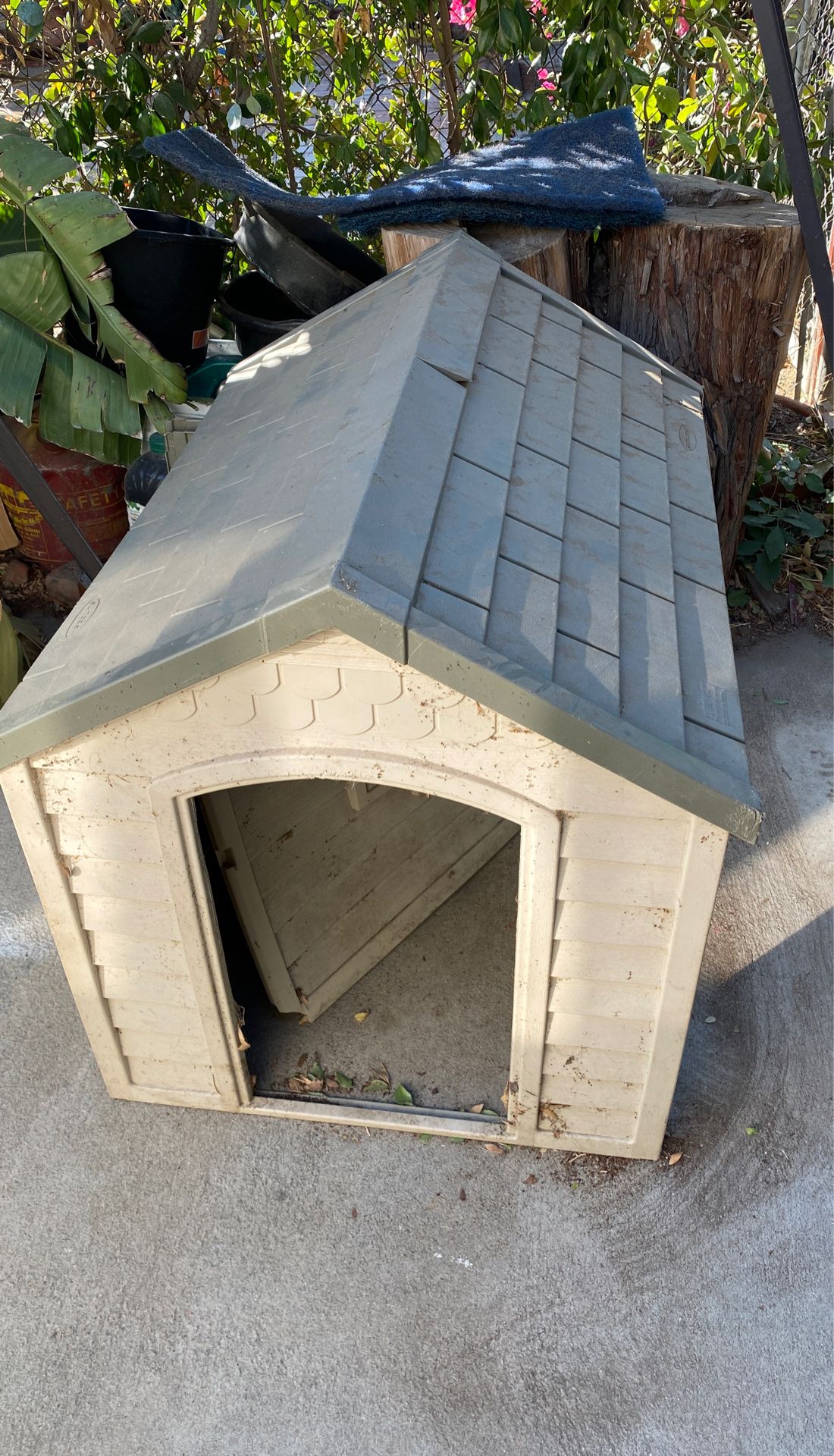 Free dog house