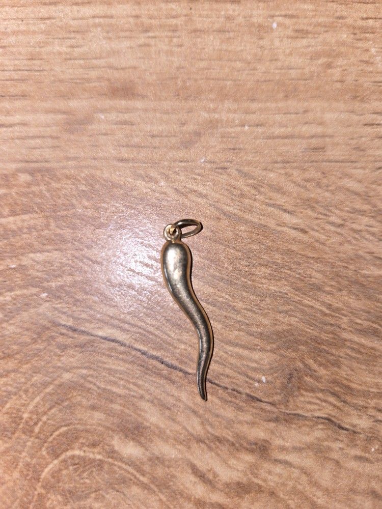 14kt GOLD Pendant Italian Horn