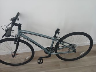 Nishiki Bike