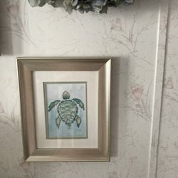 Sea Turtle Water Color Frames And Matted Pictures