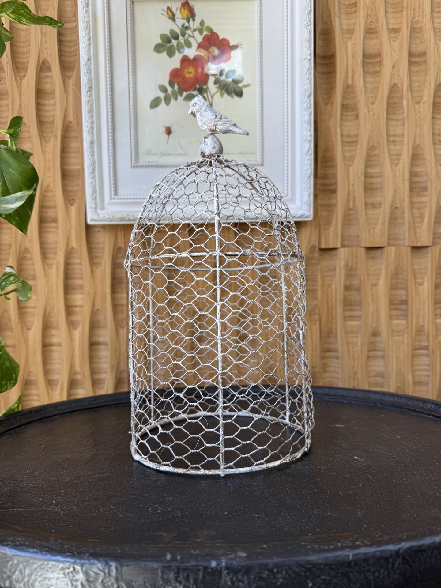Decorative Small Bird Cage White Wire Farmhouse Plant Cloche Anthro Shelf Decor Shabby Cottage Chic