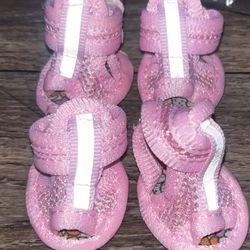 Pink new size XS girl doggie shoes . Located Off lake mead and Simmons area asking $5