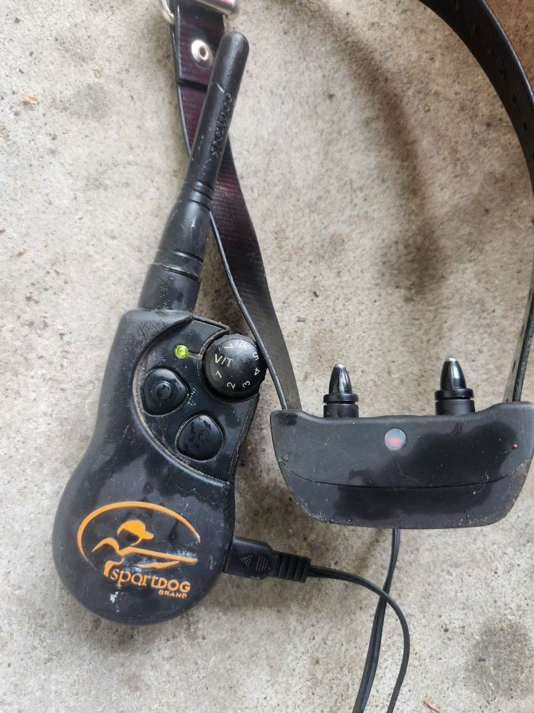 Sport dog Ecollar