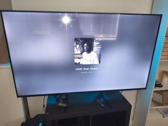 55 inch flat screen!