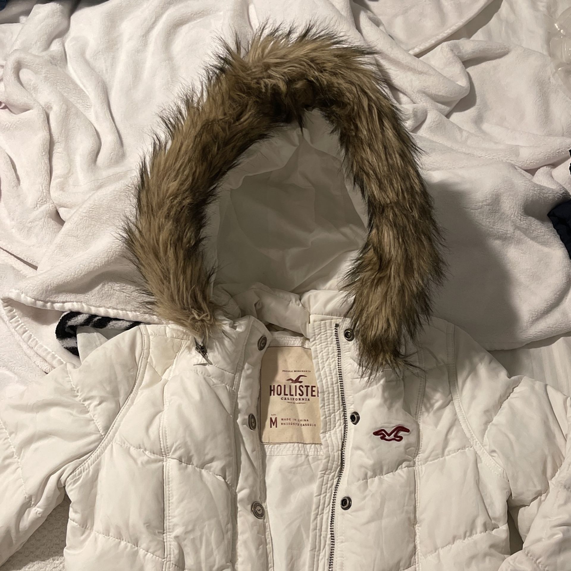 Hollister Puffy Jacket  for Women