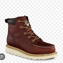 Red Wings Irish Setters