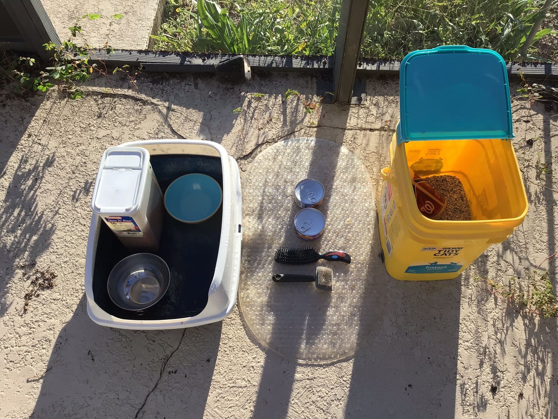 Cat/Kitty Starter Kit