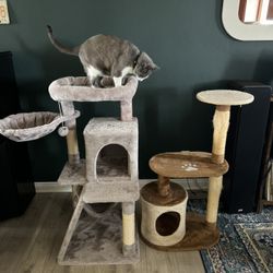 Cat-approved Cat Trees