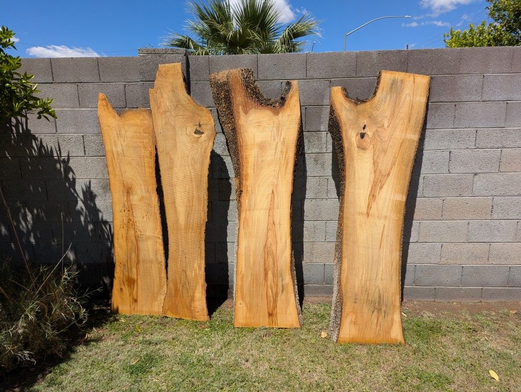Live Edge Slabs - Arizona Ash