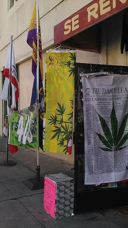 Banderas