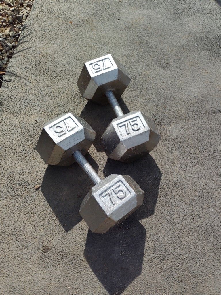 75lb Hex Dumbbells