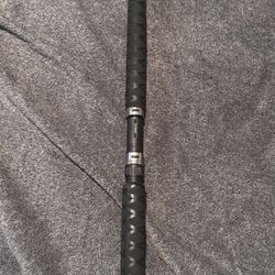 Diawa Sea gate Fishing Rod 