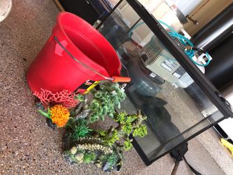 29 gallon fish or reptile tank with decorations aquarium