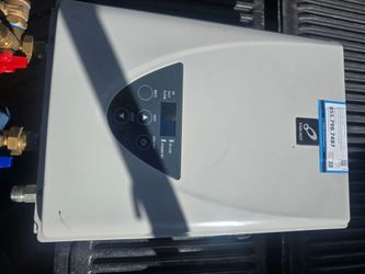 Takagi tankless water heater