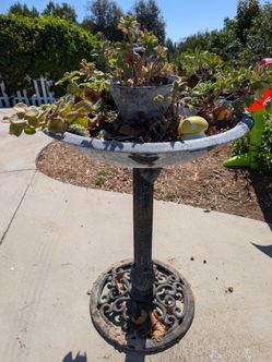 Free succulent bird bath
