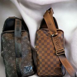 Lv Baggs