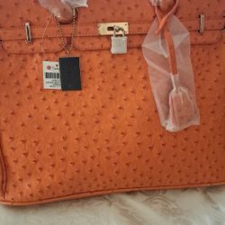 Home Interior. Bolsas Nuevas 