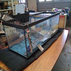 Fish Tank 100 Gallon
