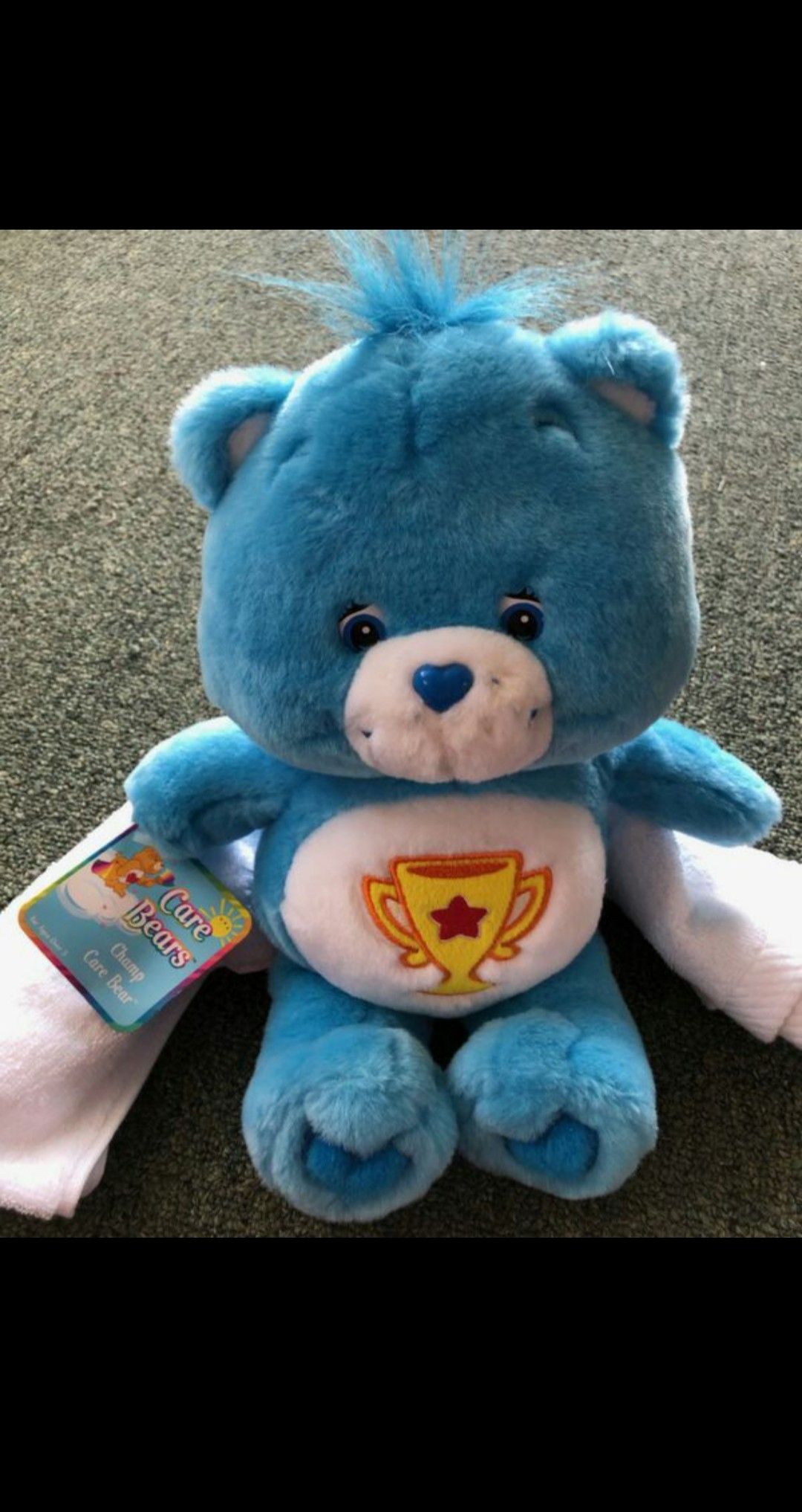 9 CareBears & 3 CareBear Cousins